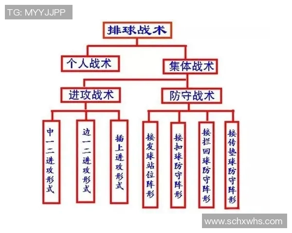 重庆排球队中路突破的战术解析与深度剖析